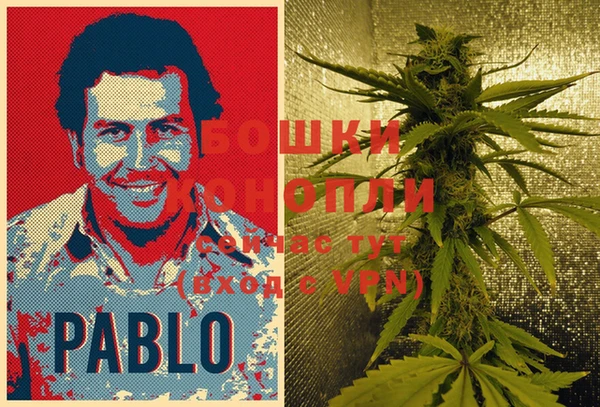 ГАЛЛЮЦИНОГЕННЫЕ ГРИБЫ Абаза