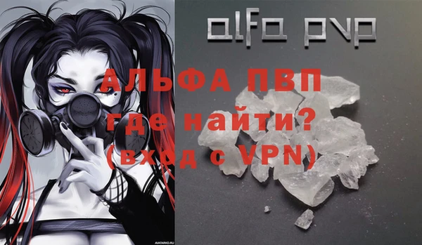 гидра Алексин