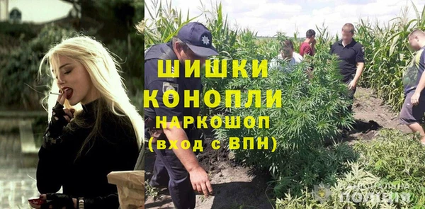 гидра Алексин